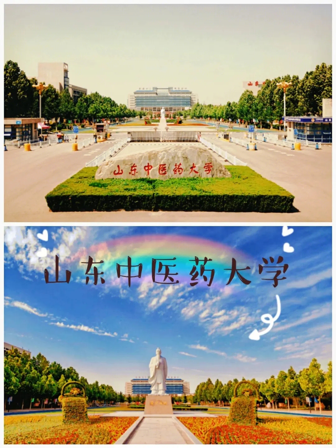 ɽ����ҽҩ��ѧ���˸߿�